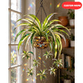 Custom Name Hanging Plant Acrylic Suncatcher, Spider Plant Window Hanging, Personalized Plant Lover Gift
